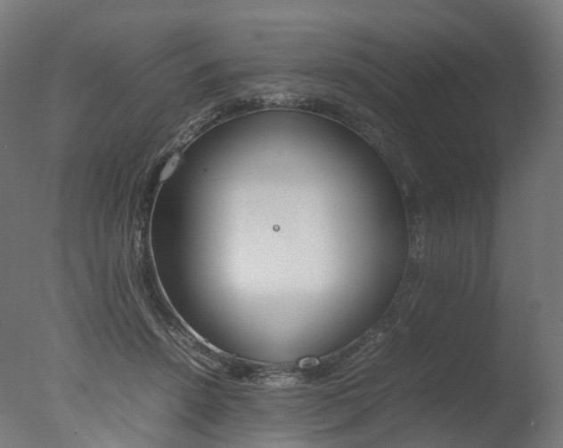X0000077330456200610200919