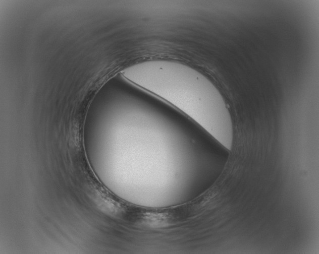 X0000077330457200610200919