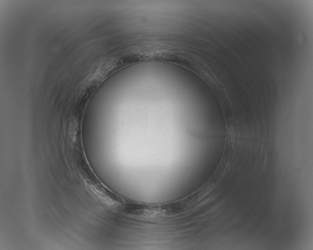 X0000077330458200610200919