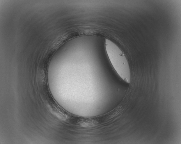 X0000077330459200610200919