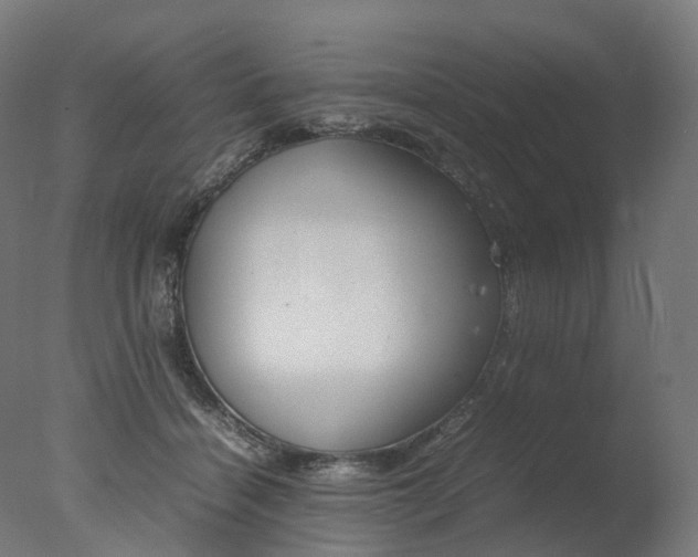 X0000077330460200610200919