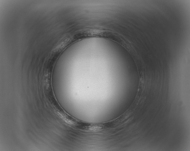 X0000077330462200610200919