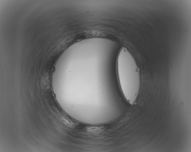 X0000077330465200610200919