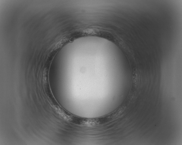X0000077330466200610200919