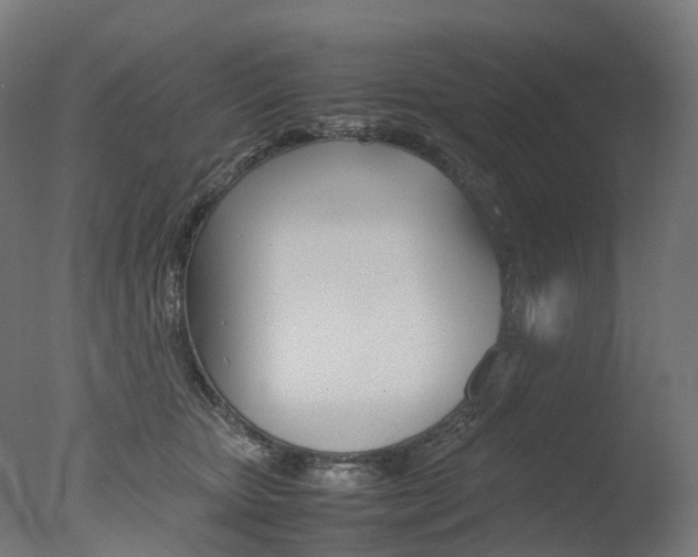 X0000077330467200610200919