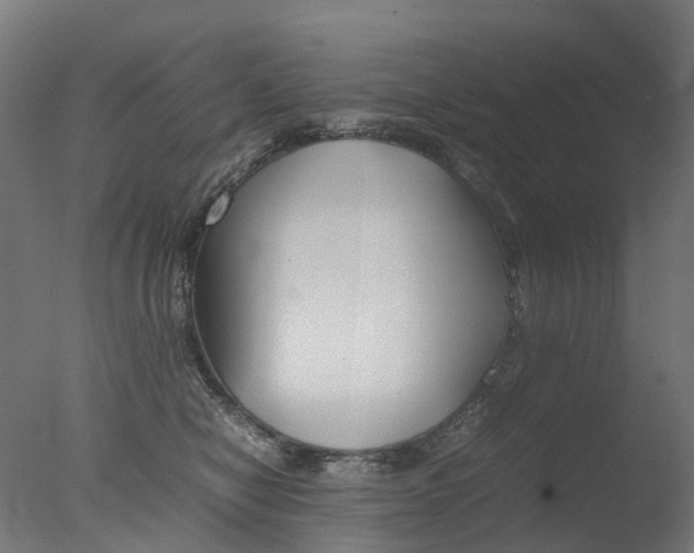 X0000077330470200610200919