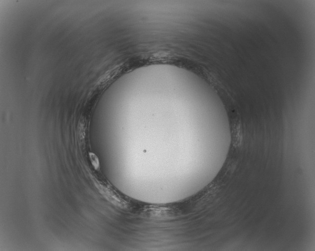 X0000077330472200610200919
