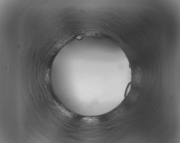 X0000077330477200610200919