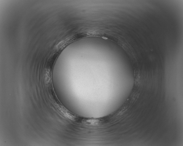 X0000077330478200610200919