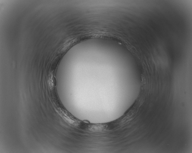 X0000077330479200610200919