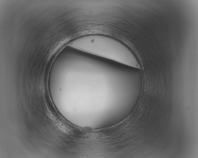 X0000077330482200610200919