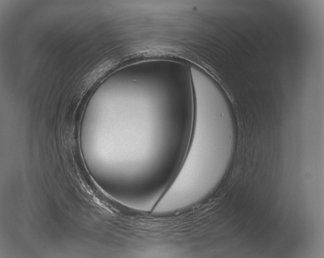 X0000077330485200610200919