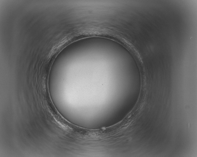X0000077330489200610200918