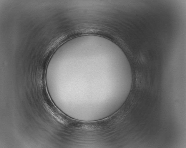 X0000077330490200610200918