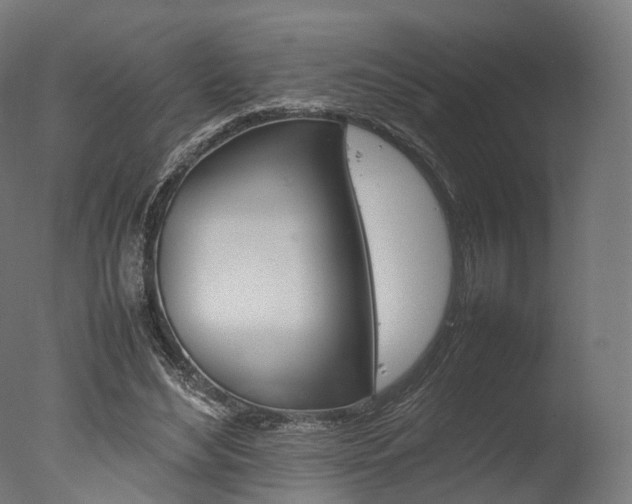 X0000077330492200610200918