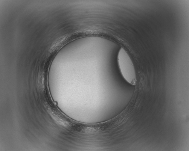 X0000077330494200610200918