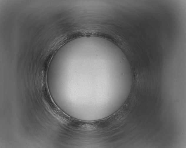 X0000077330498200610200918