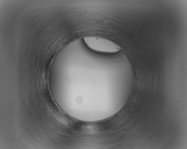 X0000077330506200610200918