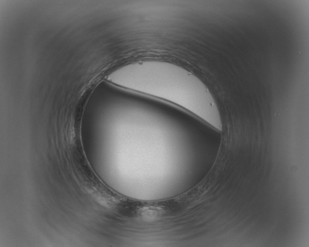 X0000077330508200610200918