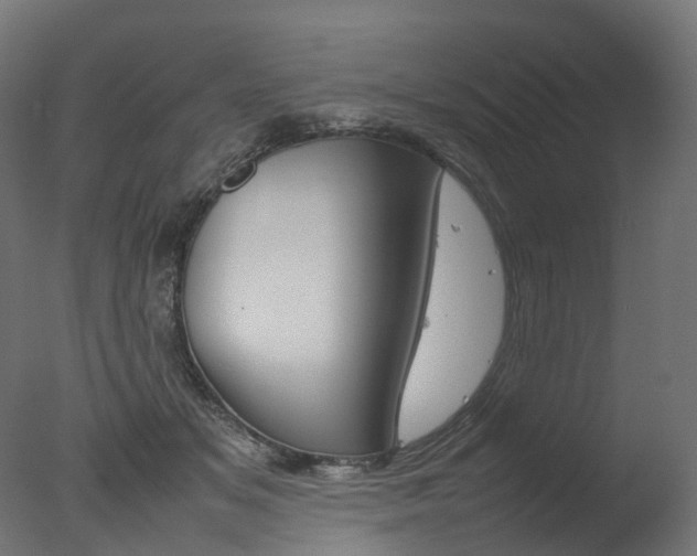X0000077330509200610200918
