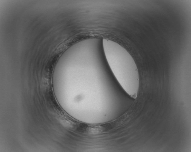 X0000077330510200610200918