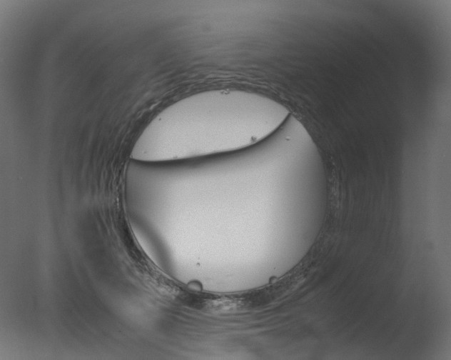 X0000077330511200610200918