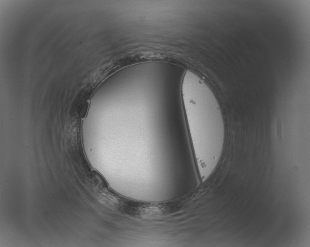 X0000077330513200610200918
