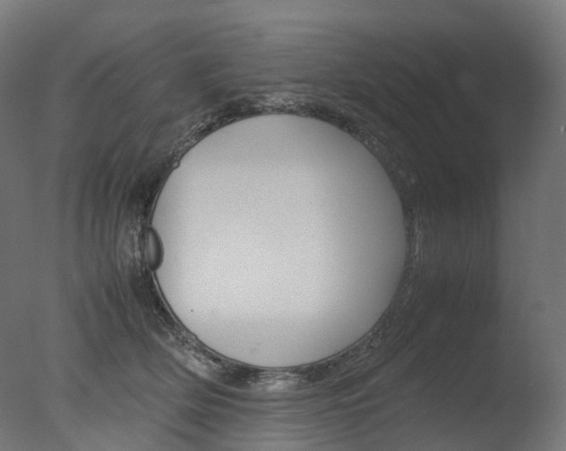 X0000077330514200610200918