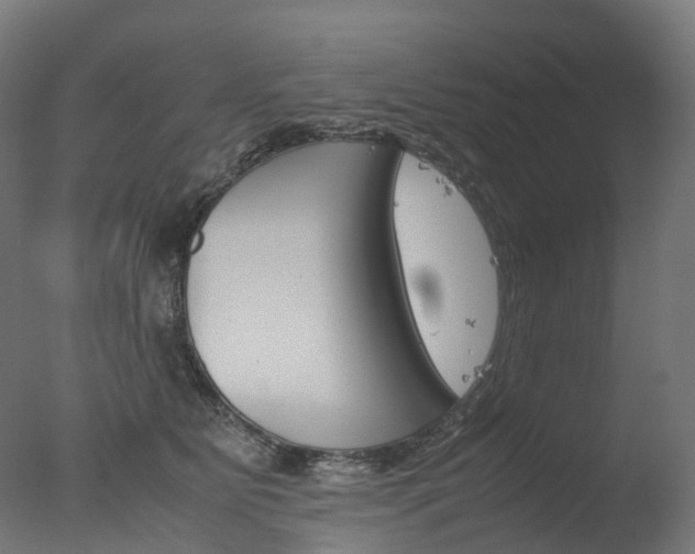 X0000077330515200610200918