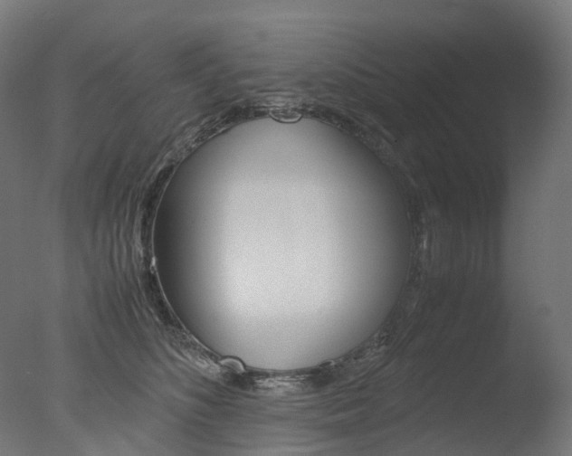 X0000077330516200610200918