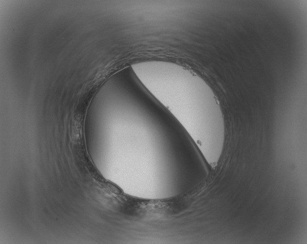 X0000077330517200610200918