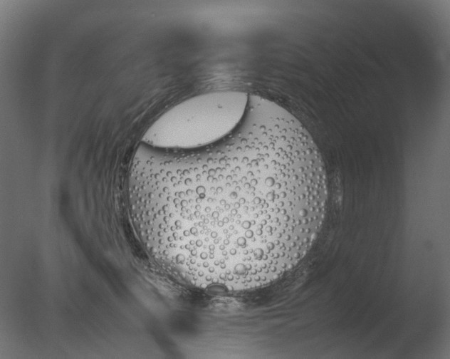 X0000077330519200610200918