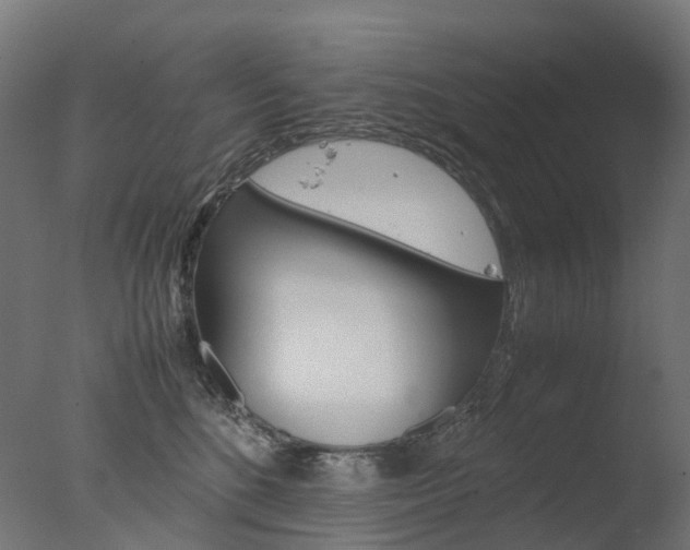 X0000077330520200610200918