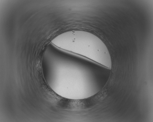 X0000077330521200610200918