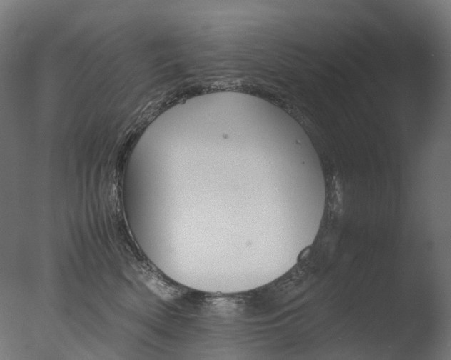 X0000077330522200610200918