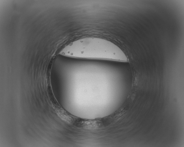 X0000077330524200610200918