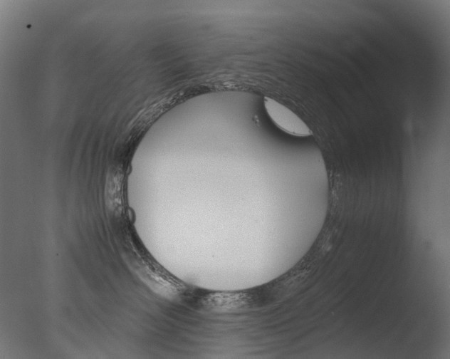 X0000077330526200610200918