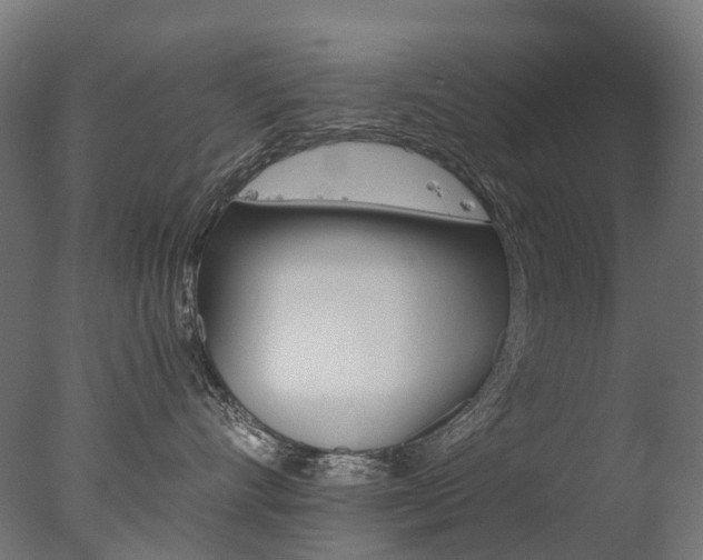 X0000077330528200610200918