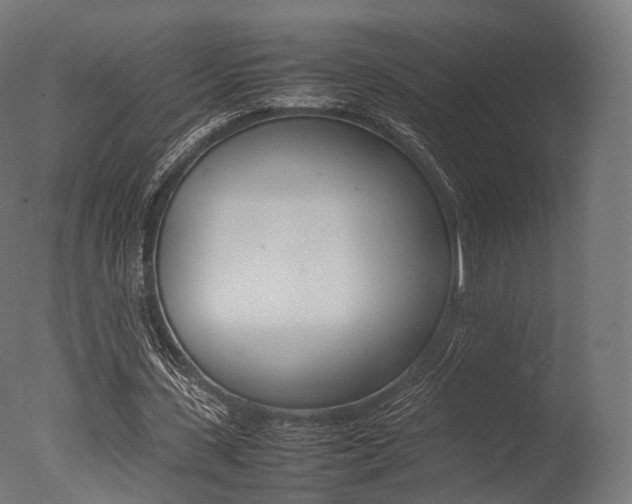 X0000077330531200610200917