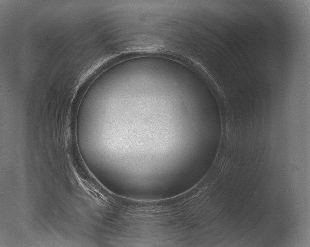 X0000077330532200610200917