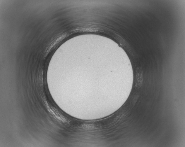 X0000077330534200610200917