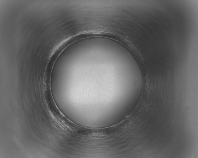 X0000077330536200610200917