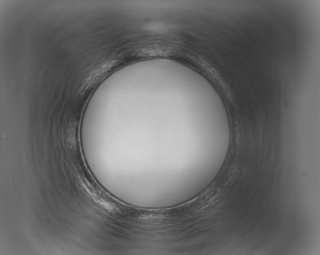 X0000077330537200610200917