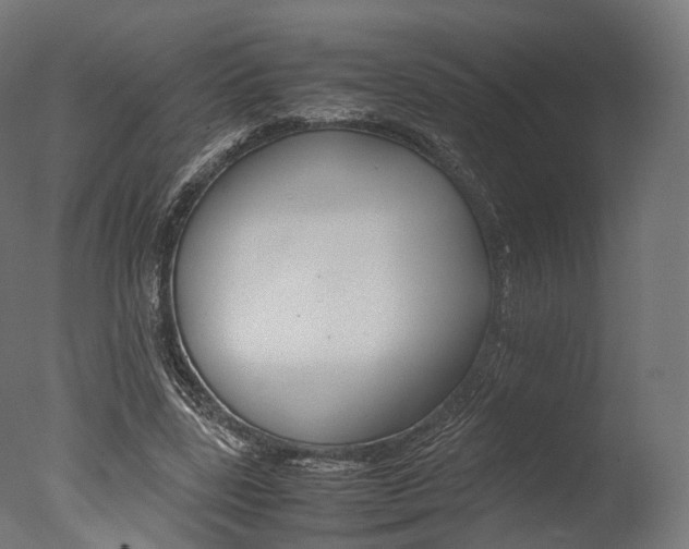 X0000077330539200610200917