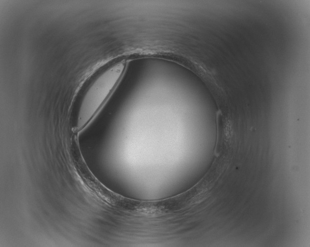 X0000077330540200610200917