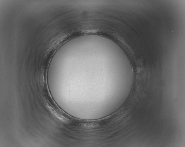 X0000077330541200610200917