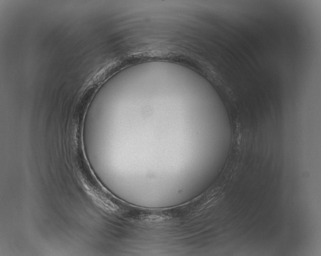 X0000077330542200610200917