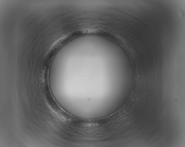 X0000077330543200610200917