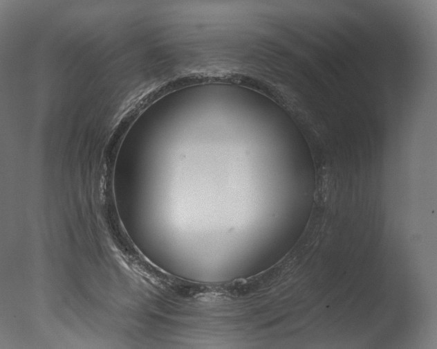 X0000077330544200610200917