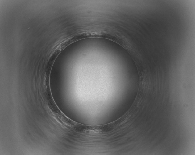 X0000077330548200610200917